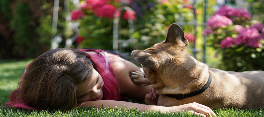 How to Calm a Hyperactive Dog: Energy-Draining Activities